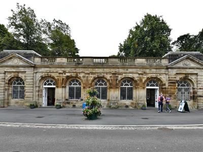 Picture 49